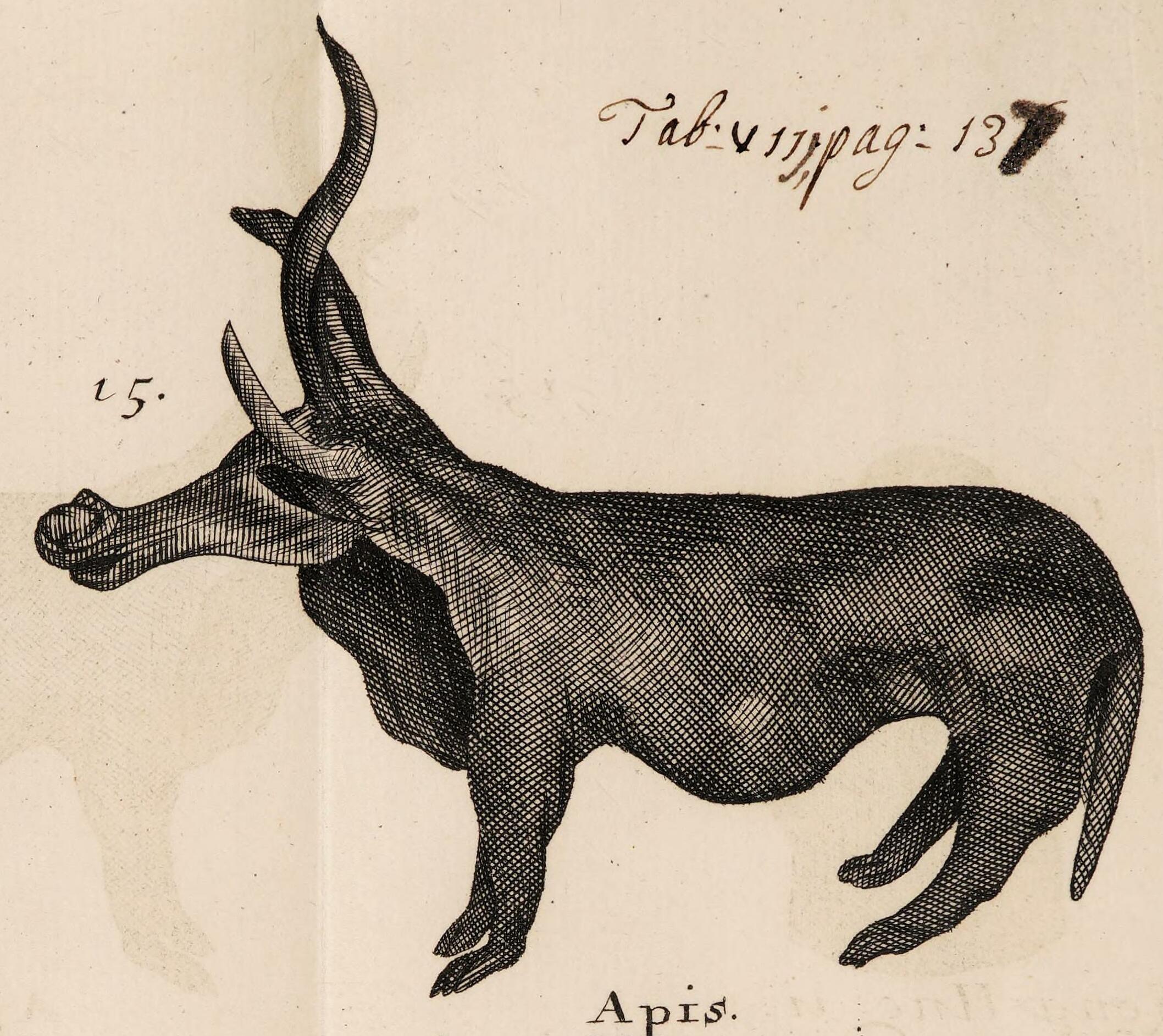 Taurus: Celtic Connections to Earth Wisdom (Image Credits: Wikimedia)