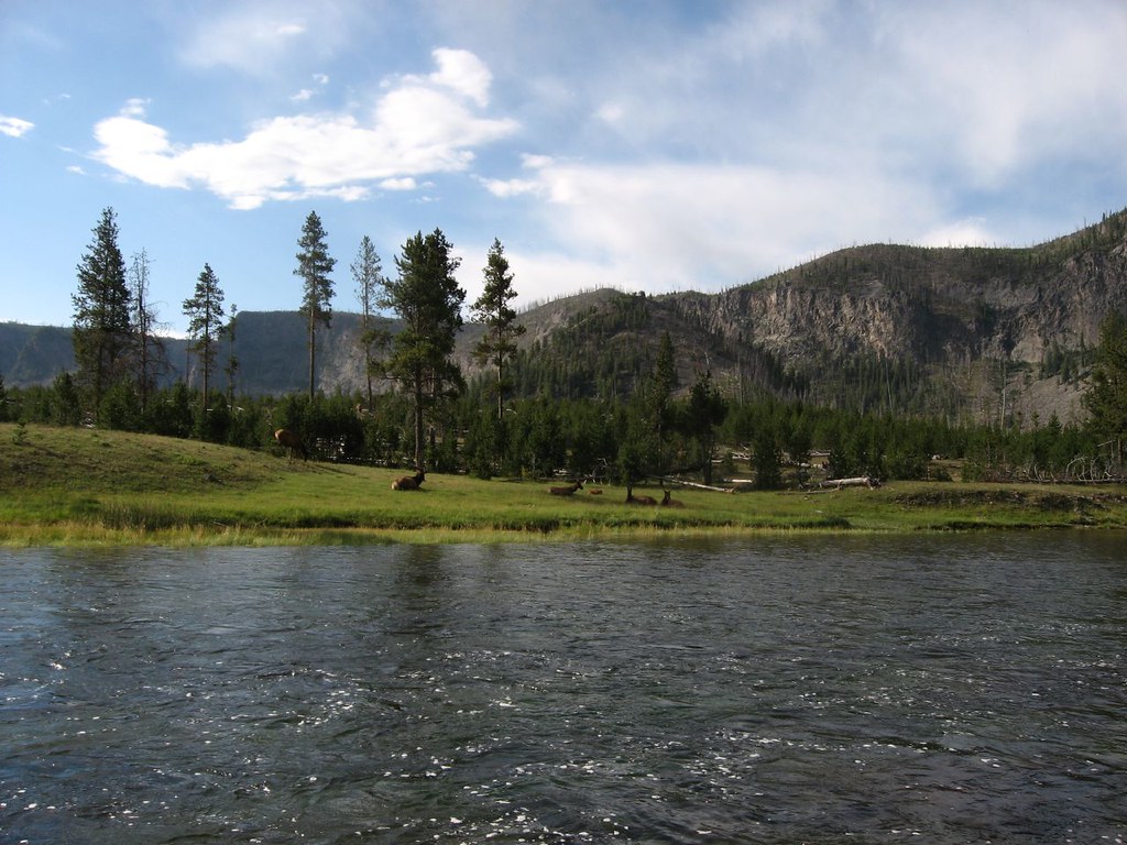 The Complexity Challenge: When Science Meets Reality (Image Credits: Flickr)