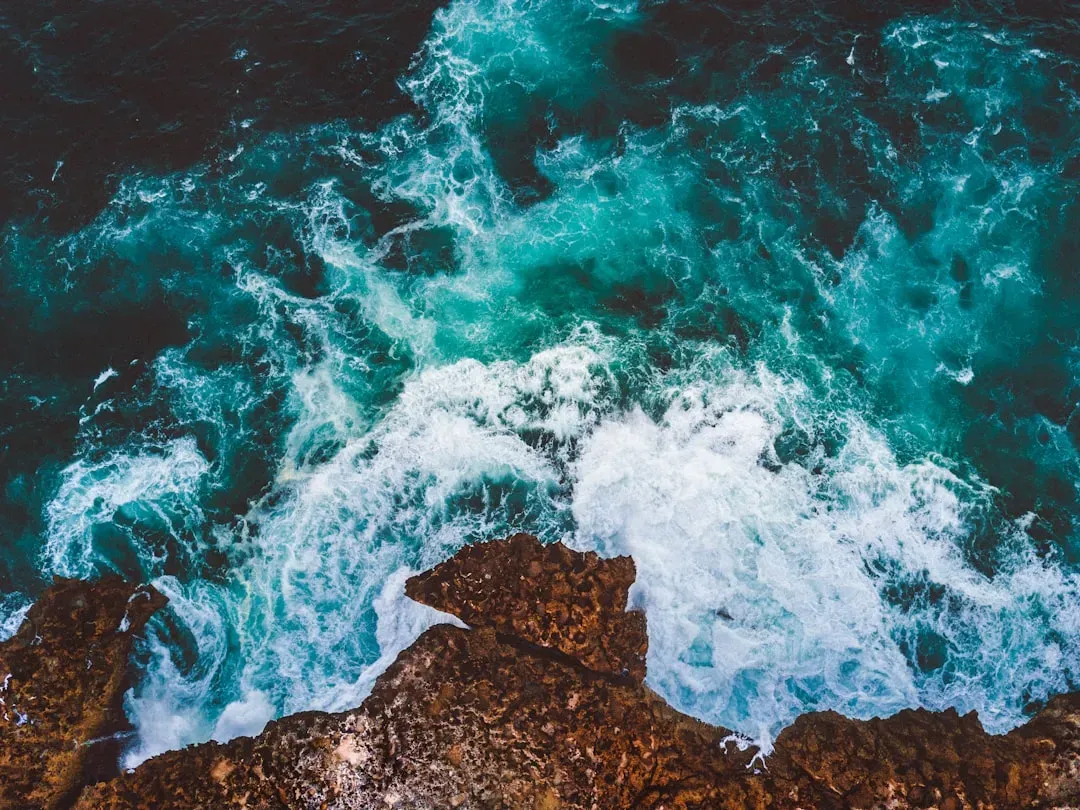 Tides Today: How the Moon Already Shapes Our Oceans and Coasts (Image Credits: Unsplash)