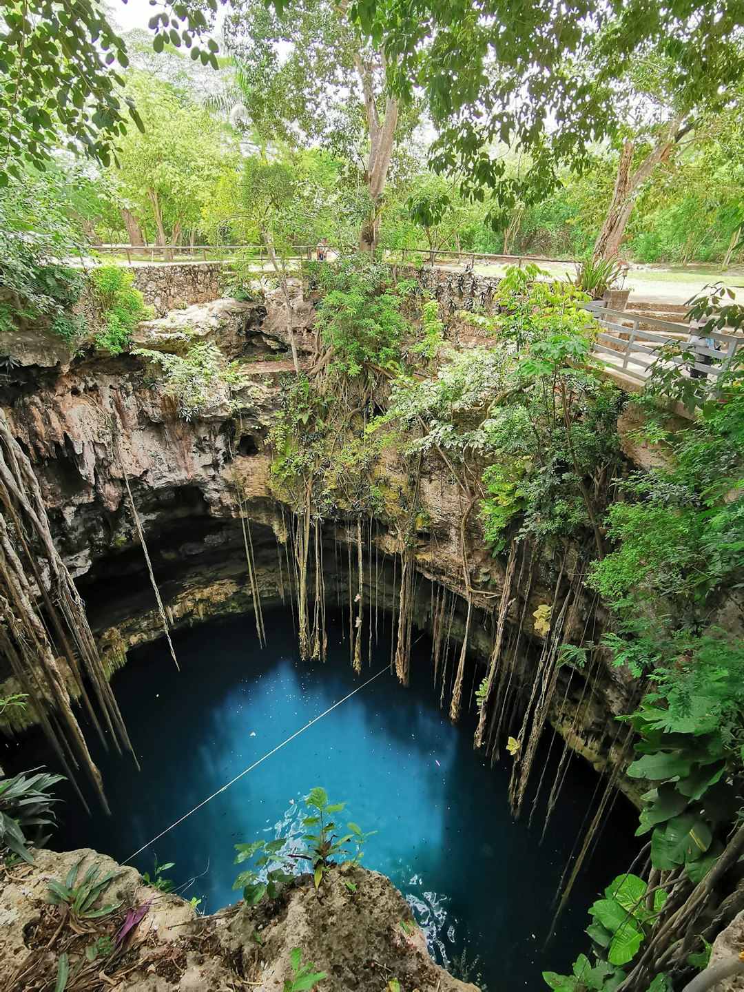 The River That Disappears Underground: Mexico’s Yucatán Cenotes (Image Credits: Unsplash)