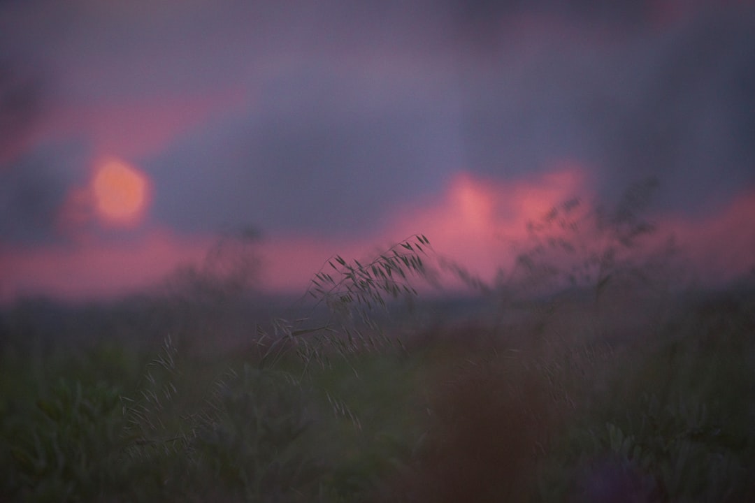 Why These Storms Are Nature's Rarest (Image Credits: Unsplash)