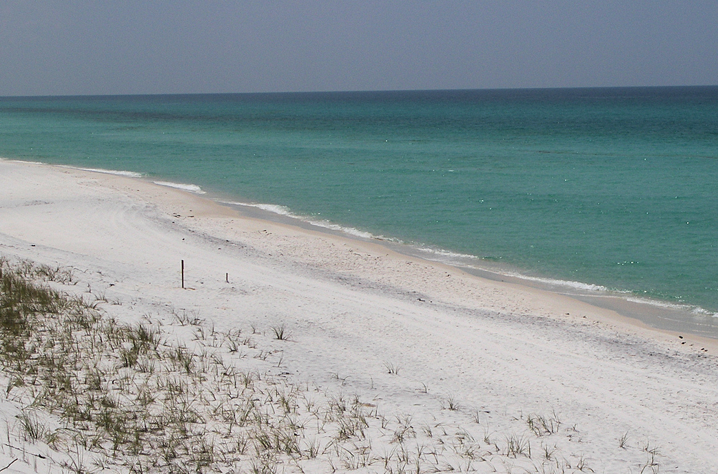 Grayton Beach State Park (Image Credits: Wikimedia)