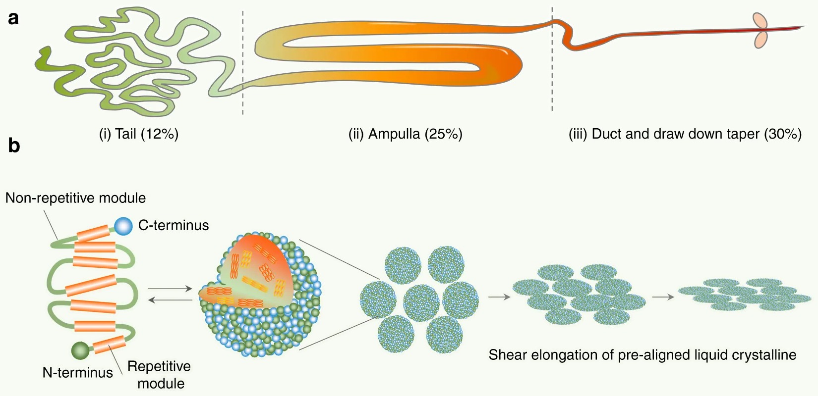 Soap: Why It Works So Reliably (Image Credits: Wikimedia)
