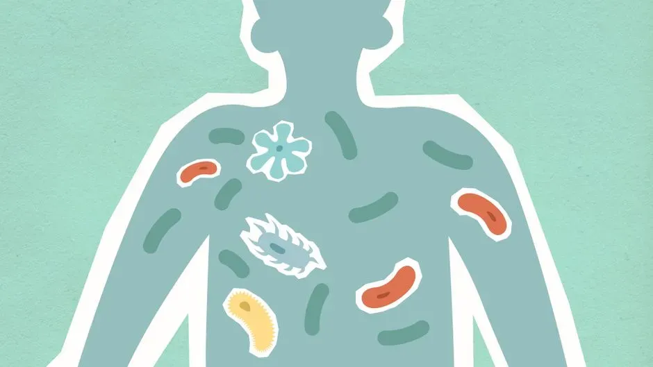 How the “Mostly Microbe” Numbers Really Break Down (Image Credits: Pexels)