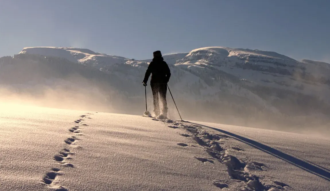 Freedom or Loss? The Strange Gift of Forgetting (Image Credits: Pixabay)