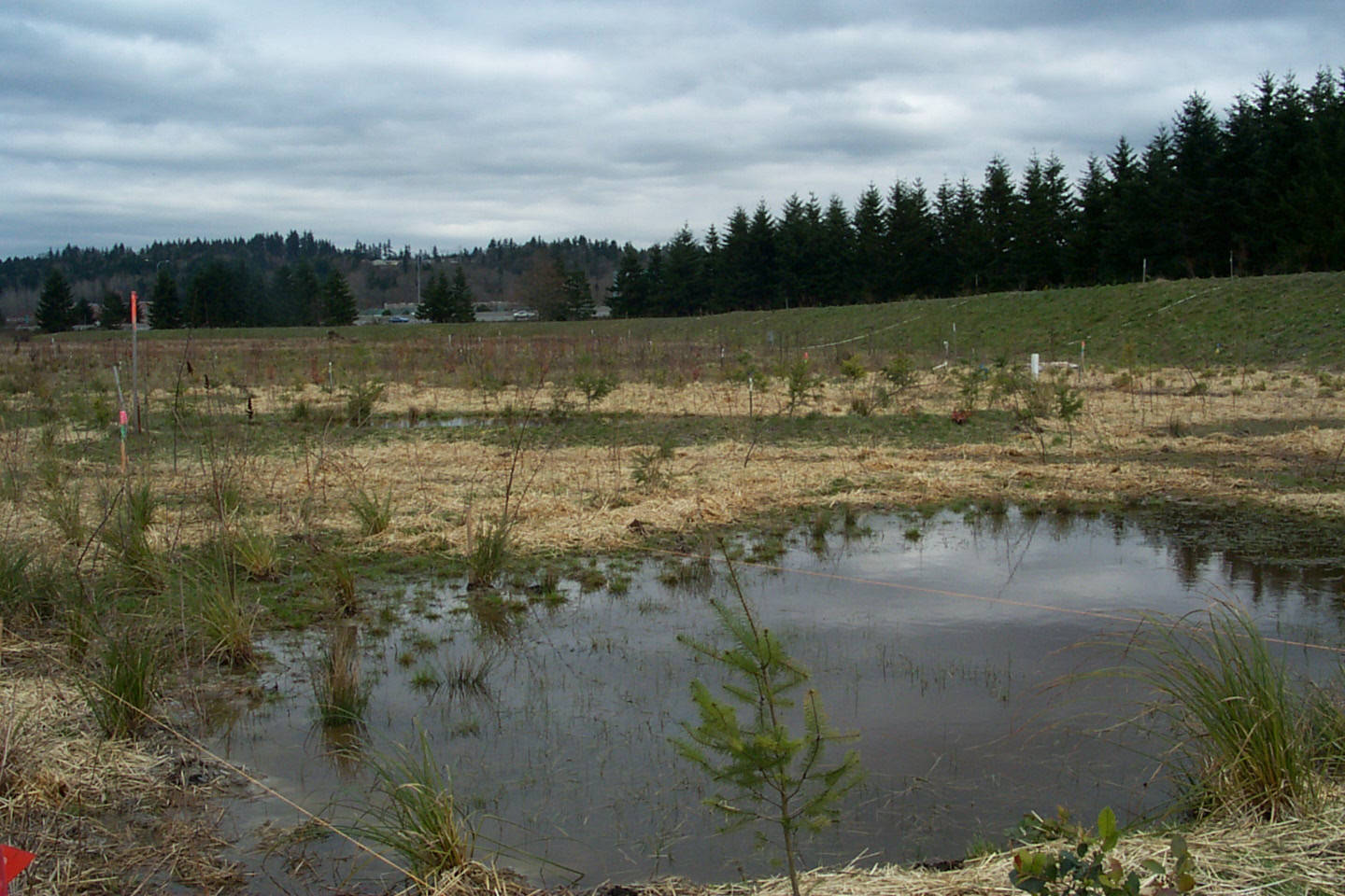 The Future Landscape (Image Credits: Wikimedia)