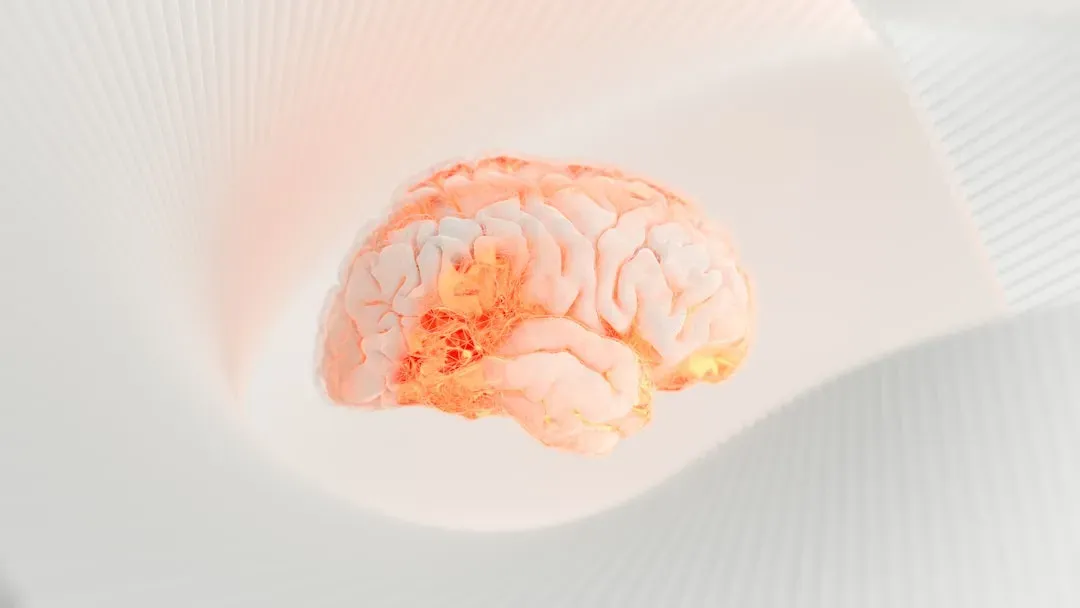 Your Brain Is Not a Camera, It Is a Prediction Machine (Image Credits: Unsplash)