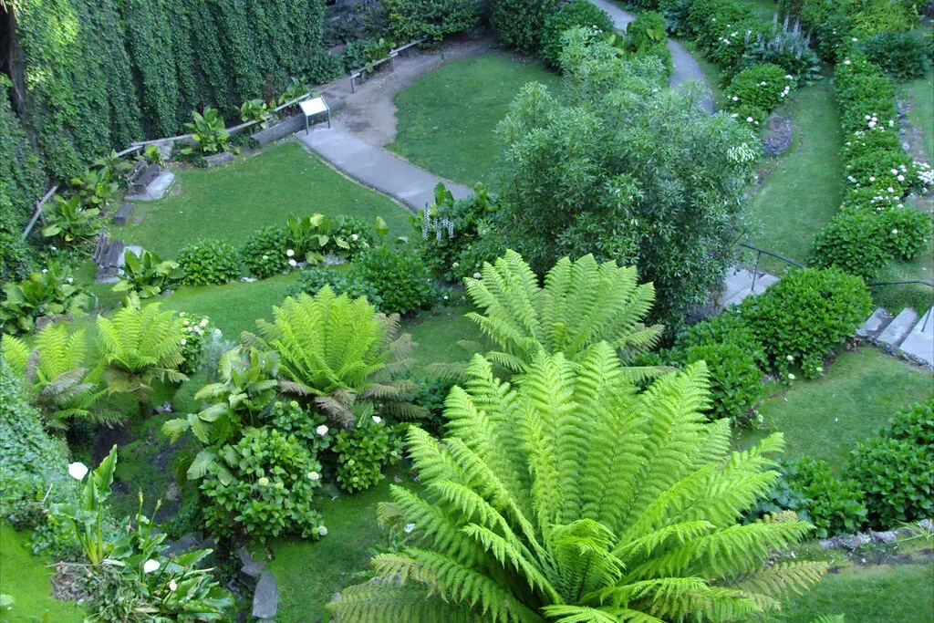 What This Means for You and the Planet (Image Credits: Flickr)