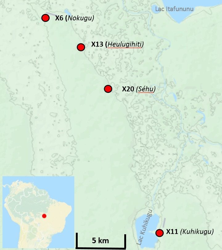 Kuhikugu - The Garden Cities of the Xingu (Image Credits: Wikimedia)