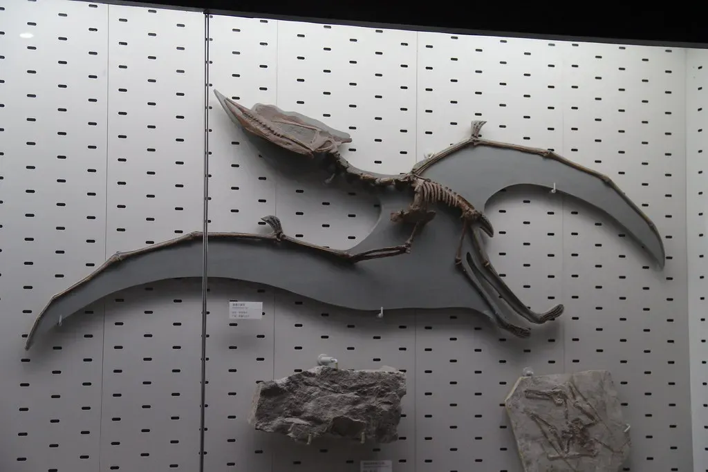 Catastrophic Death Assemblages Reveal Their Vulnerability And Ecology (Image Credits: Flickr)