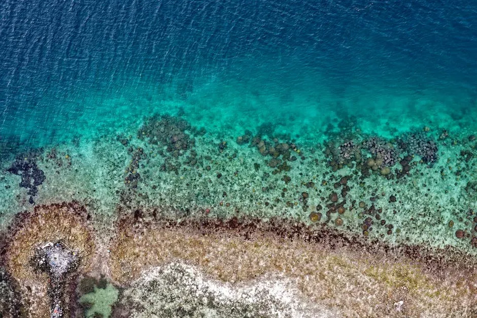 Buried Ancient Landscapes and Lost Coastlines (Image Credits: Pexels)