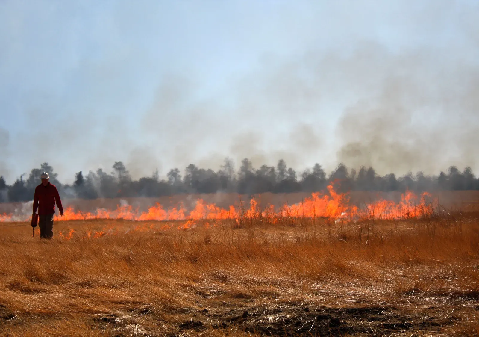 20. Indigenous Land Management and Fire Technology (Firefighter uses a drip torch during prescribed burnUploaded by AlbertHerring, CC BY-SA 2.0)