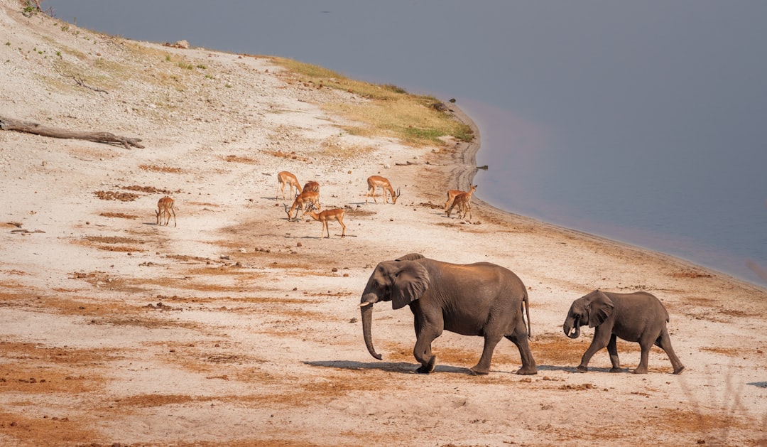 Earth Signs at Rest: Taurus, Virgo, Capricorn (Image Credits: Unsplash)