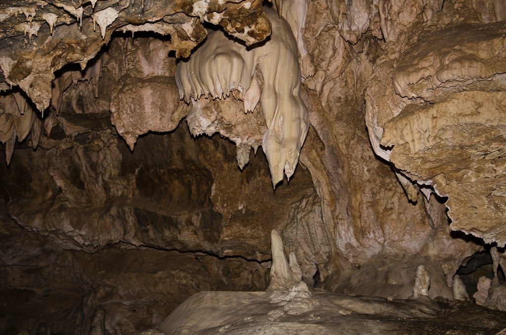 A Deadly Beauty You Cannot Touch (Image Credits: Flickr)