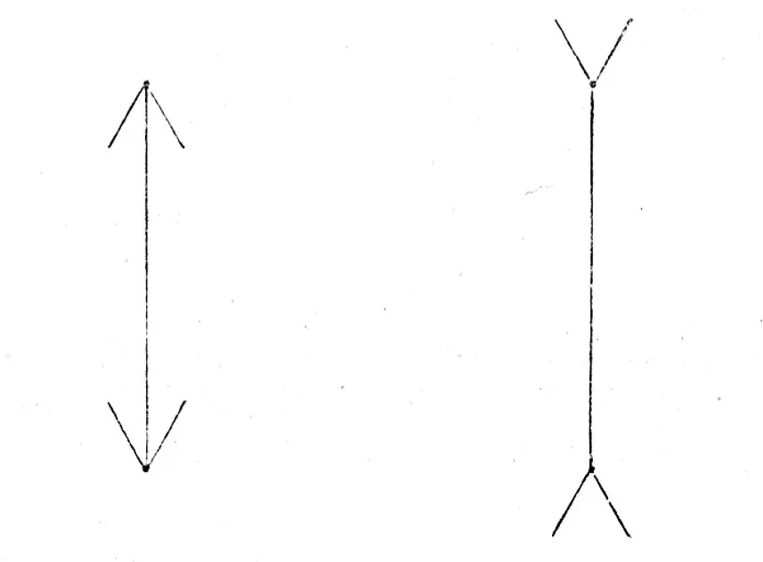 The Müller-Lyer Illusion: How Context Warps Our Sense of Size (Image Credits: Wikimedia)