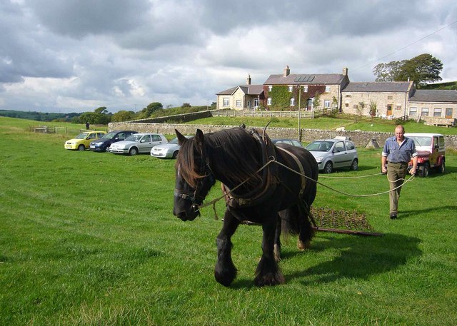 Dales Pony: Power In A Small Package, Numbers On A Knife Edge (Image Credits: Wikimedia)