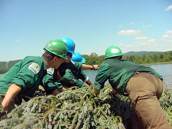 The Hidden Costs We Can’t Ignore (Image Credits: Wikimedia)