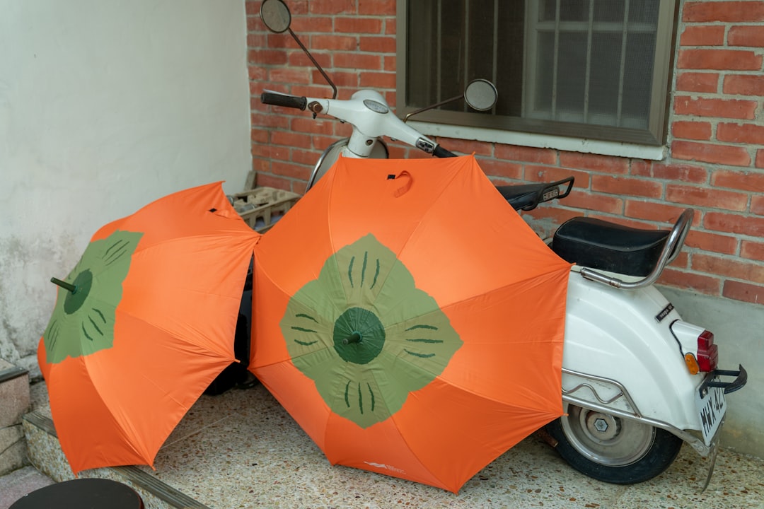 Safety First, Then the Thrill (Image Credits: Unsplash)