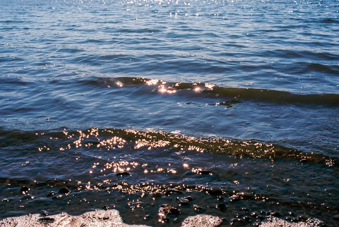 2. Brine Pools: Lakes at the Bottom of the Ocean (Image Credits: Unsplash)