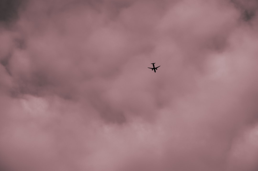 The Hidden Clues (Image Credits: Unsplash)