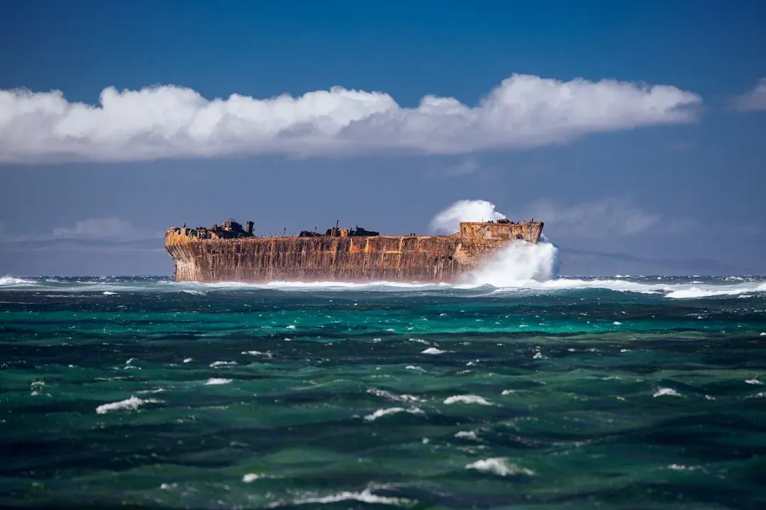 #1 - People Who Never Knew They Were the Real Cargo (Image Credits: Unsplash)