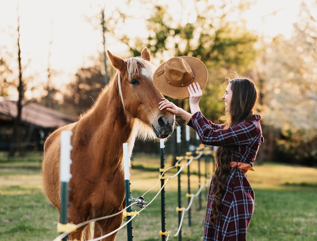 The Horse: Intuitive Healers (Image Credits: Unsplash)