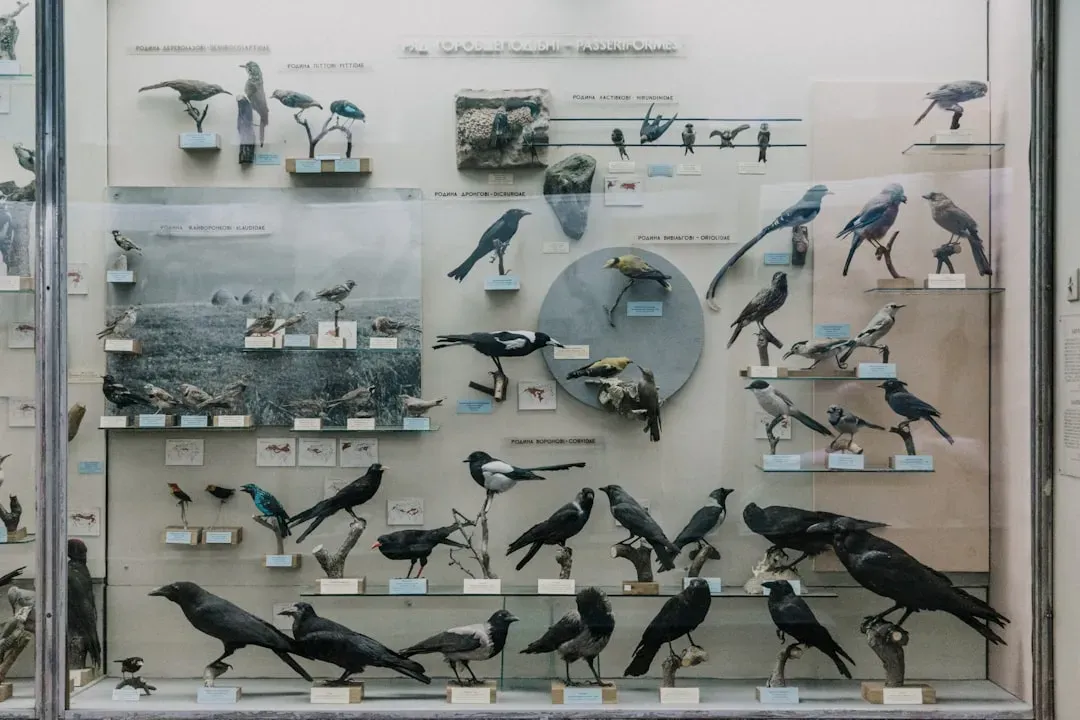 Modern Birds May Be Older Than You Were Told (Image Credits: Unsplash)