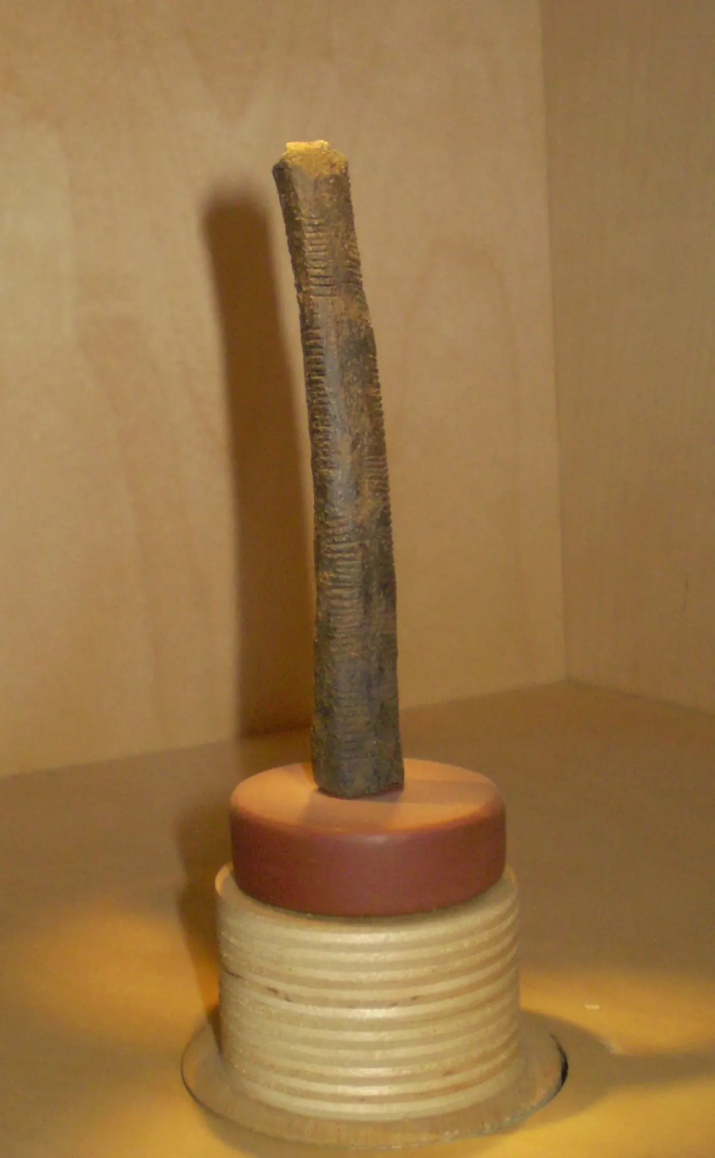 #8 - The Bone With Math Humans Weren't Supposed to Know Yet (By Ben2, CC BY-SA 3.0)