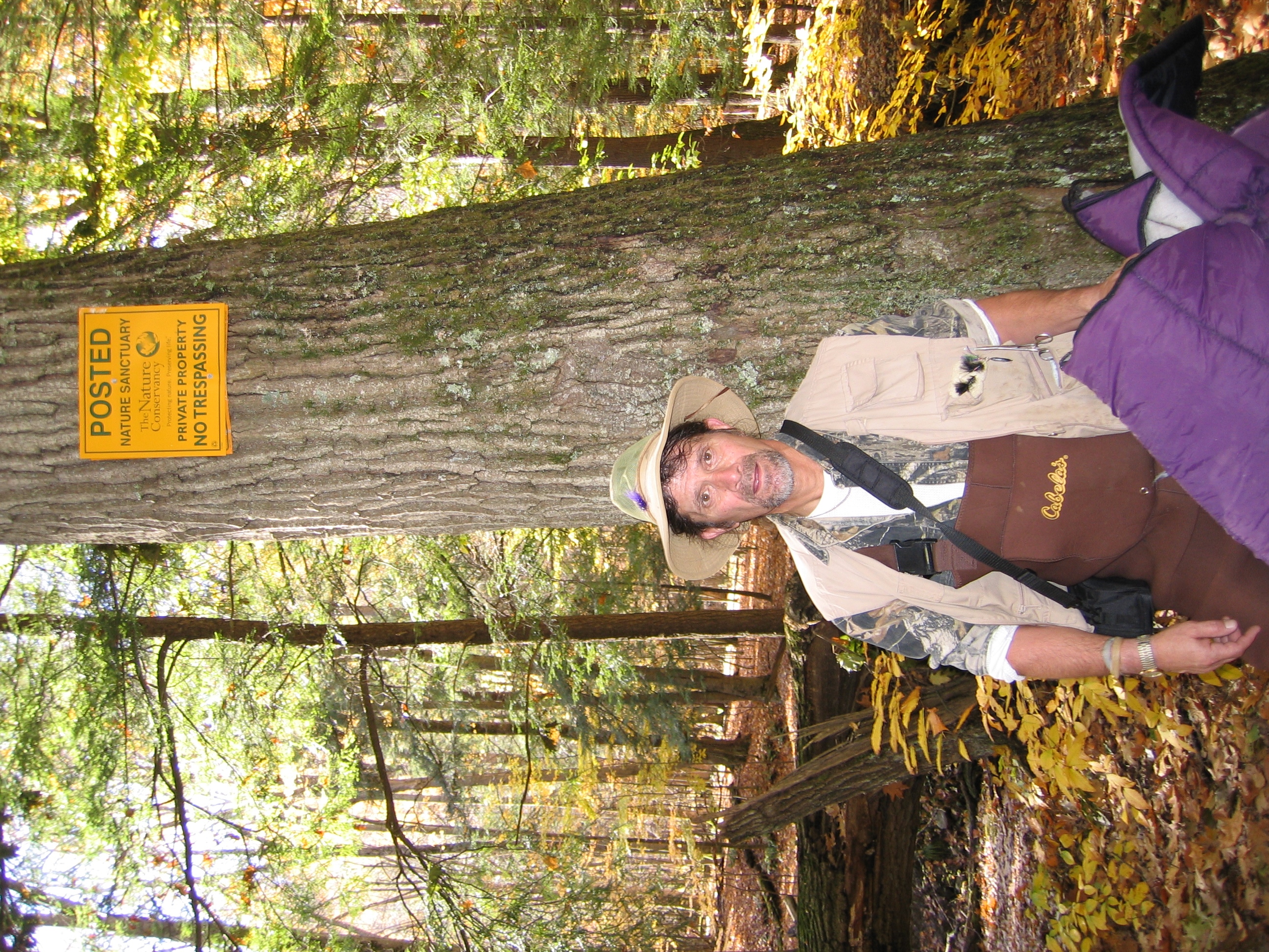 The Future Landscape (Image Credits: Wikimedia)