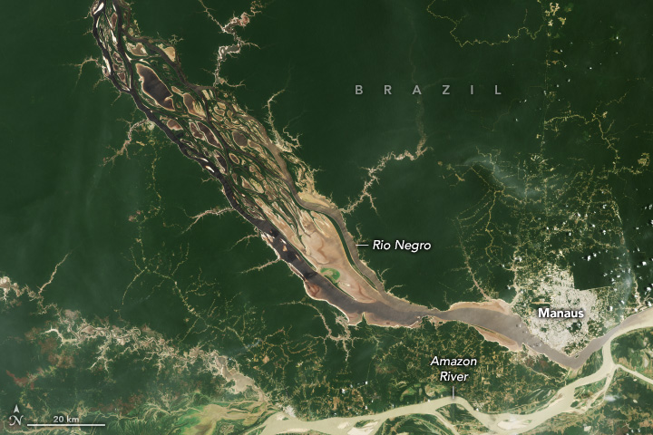 The Amazon's Ancient Transformation (Image Credits: Wikimedia)