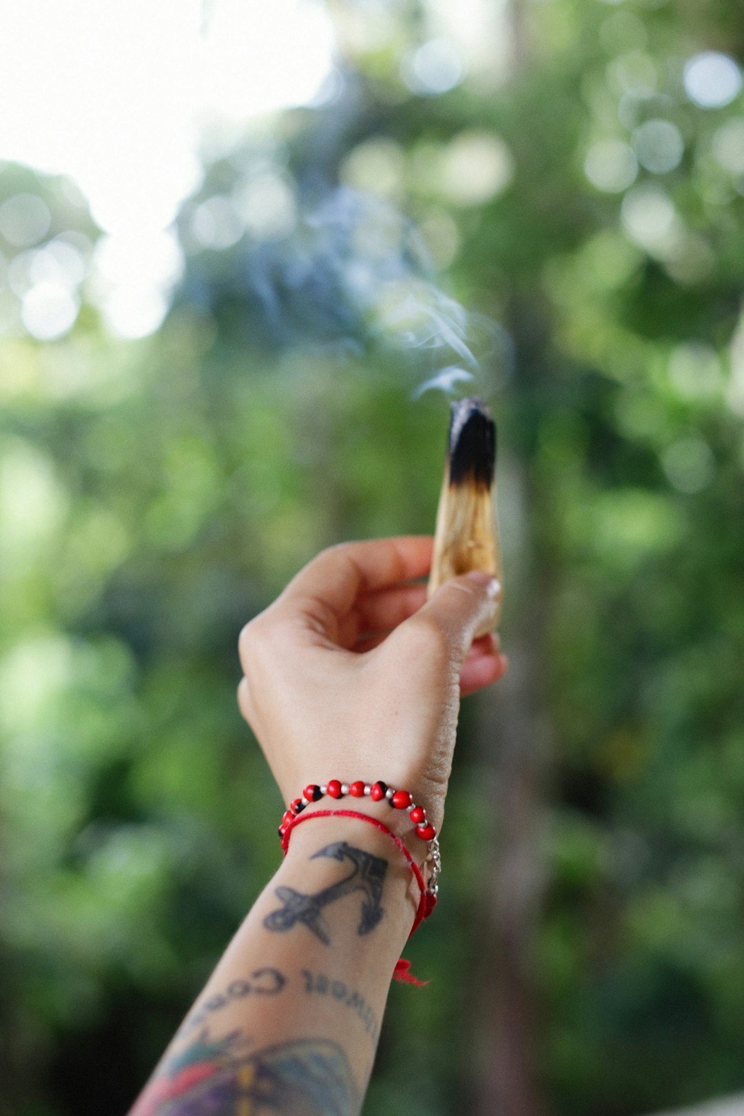 Ancient Warriors Smoked Cannabis Before Battle (Image Credits: Unsplash)