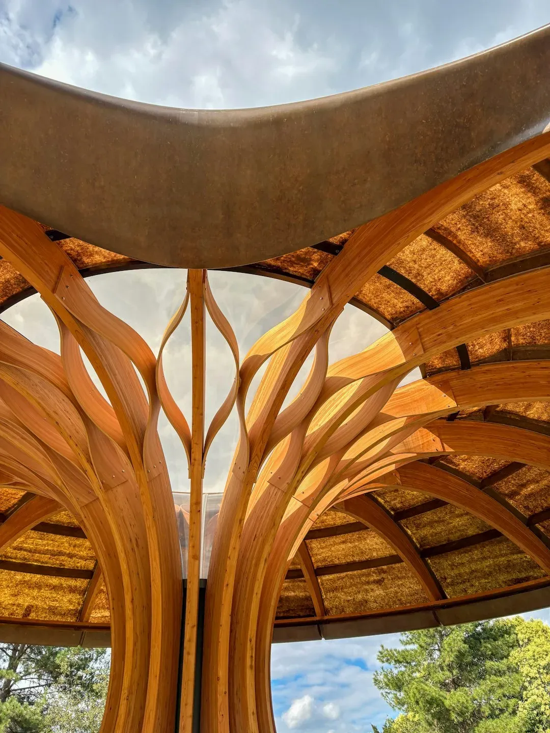 Why It Matters: Biomimicry as a Different Kind of Innovation Engine (Image Credits: Unsplash)