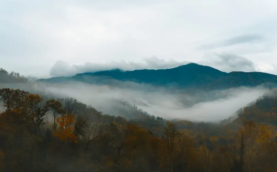 Great Smoky Mountains National Park, Tennessee–North Carolina: Fog, Forest, and Vanished Children (Image Credits: Pexels)