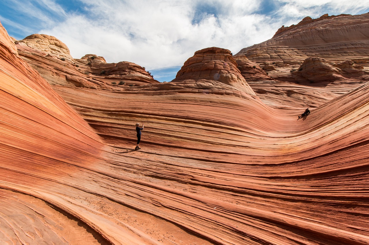 Earth Signs: Grounded Desert Appreciators (Image Credits: Pixabay)