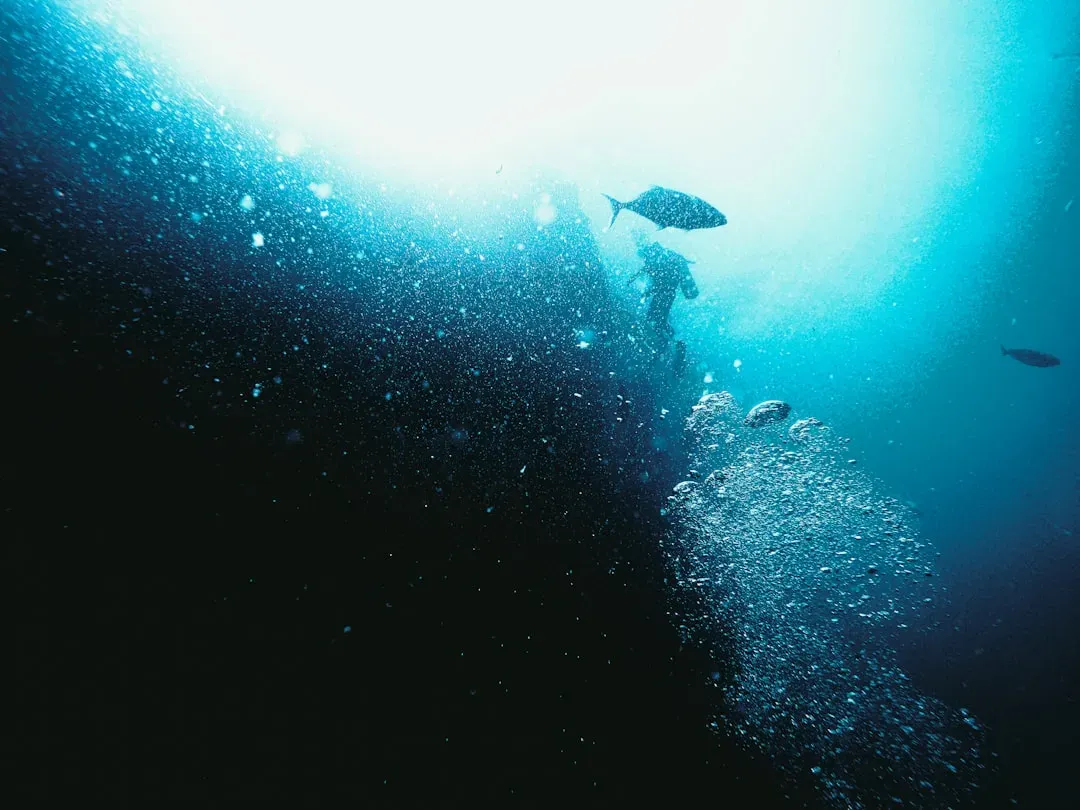 The Mariana Trench: The Deepest Scar in the Ocean Floor (Image Credits: Unsplash)