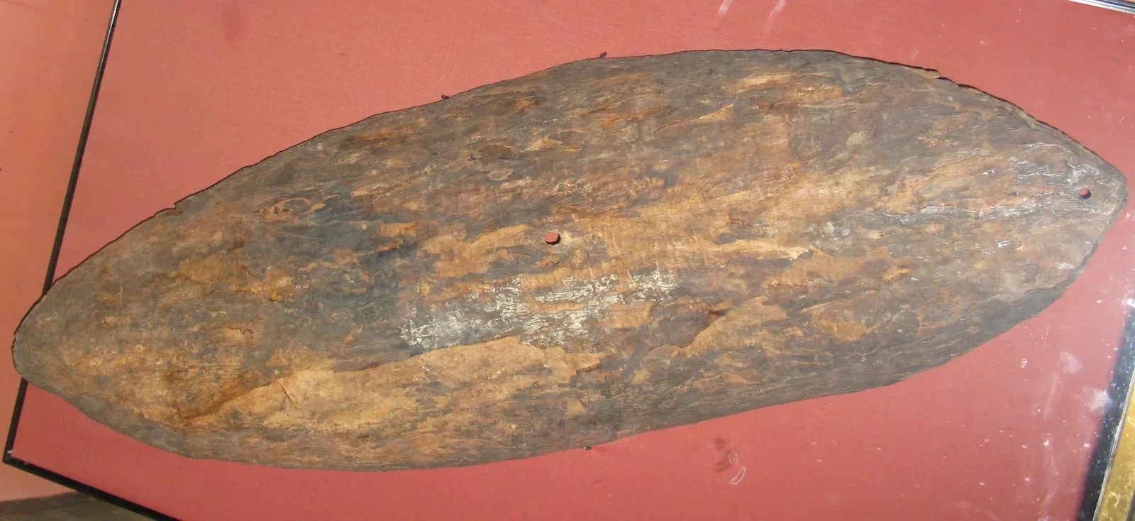 #12 - The Gweagal Shield (Image Credits: Wikimedia)