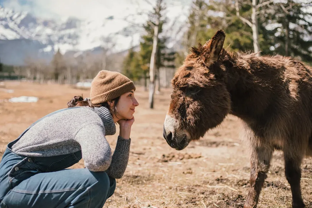 Anthropomorphism Can Mislead, But It Also Motivates Care (Image Credits: Unsplash)