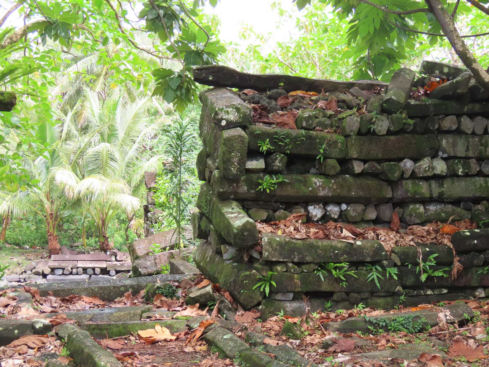 Nan Madol: The Venice of the Pacific (Image Credits: Wikimedia)