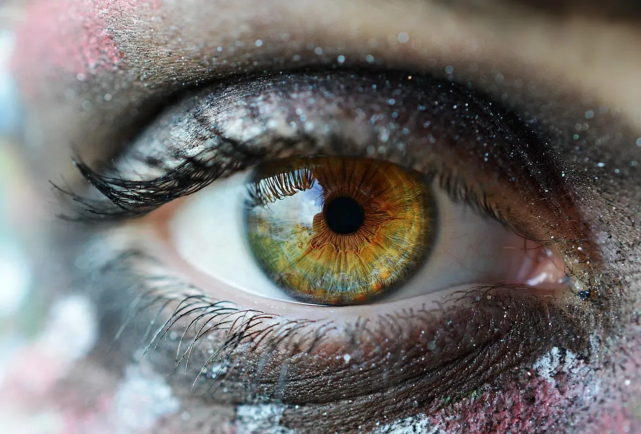 How Your Senses Glitch in the Dark (And Why Corners of Your Eye Are So Haunted) (Image Credits: Pixabay)