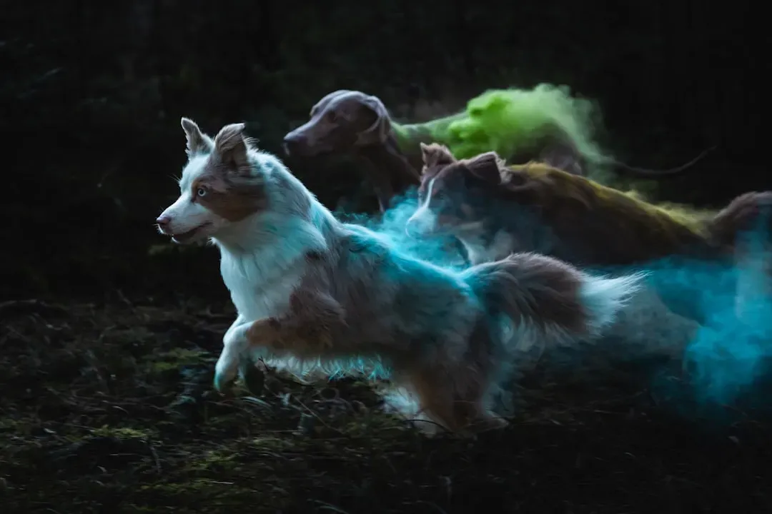 Your Spirit Animal Can Change Over Time (Image Credits: Unsplash)