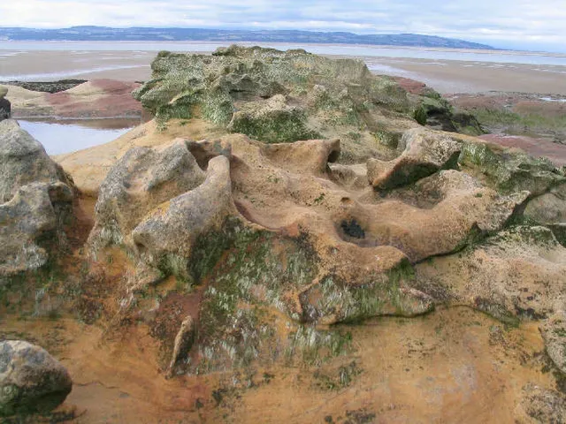 The Future Landscape: New Tools, New Mysteries (Image Credits: Wikimedia)