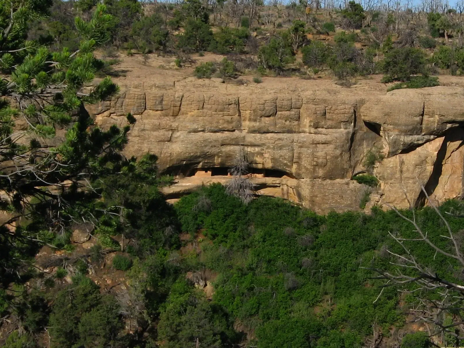 Resilience, Migration, and Adaptation to Change (Ruins in Cliff Canyon as Seen from Cliff Palace Overlook, Mesa Verde National ParkUploaded by Jacopo Werther, CC BY-SA 2.0)