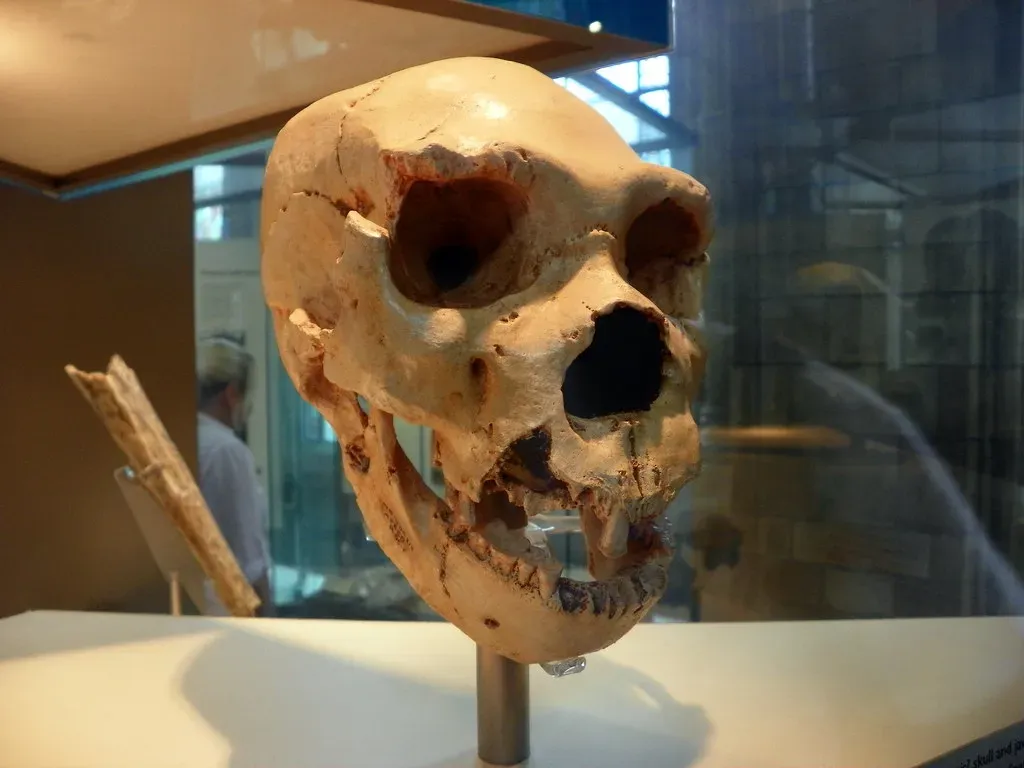 3. Sima de los Huesos: A Deep Pit Of Ancient Human Bones In Spain (Peter O'Connor aka anemoneprojectors, Flickr, CC BY-SA 2.0)