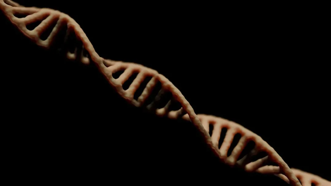 #9 - "The Human-Neanderthal Species Line Is Settled Science" (Image Credits: Unsplash)