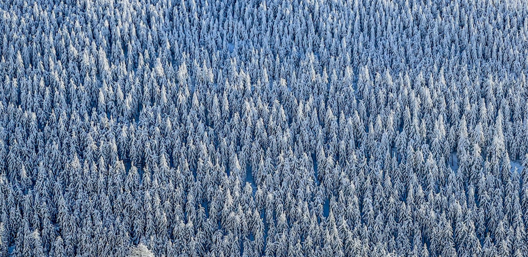 The Hidden Clues (Image Credits: Unsplash)