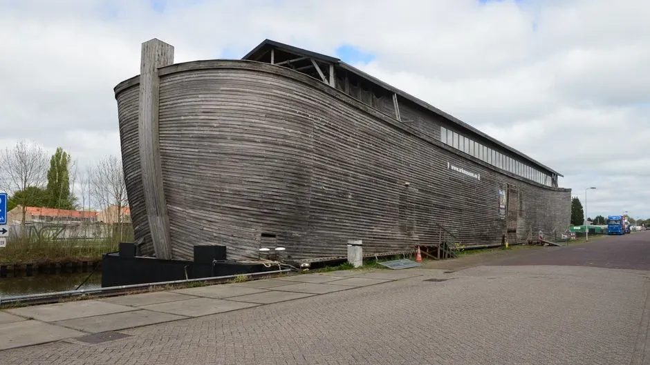 #10 – The "Petrified" Noah's Ark Timber (Image Credits: Pexels)