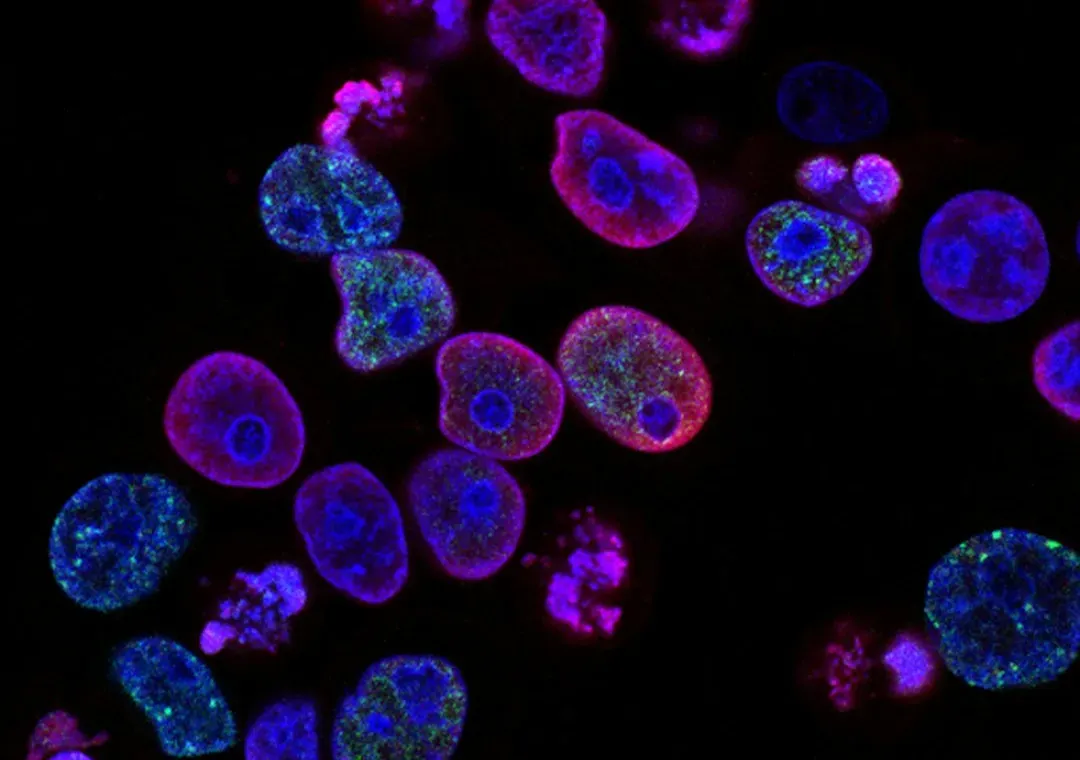 From Cells to Consciousness: The Universe Wakes Up (Image Credits: Unsplash)