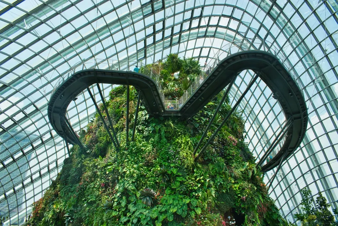 Conclusion: Nature Has Been Ahead of Us All Along (Image Credits: Unsplash)