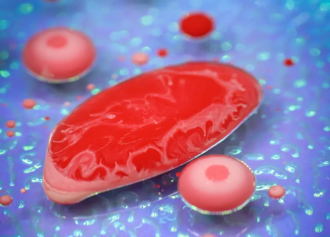 Cellular Respiration: Harvesting Energy from Food (Image Credits: Unsplash)