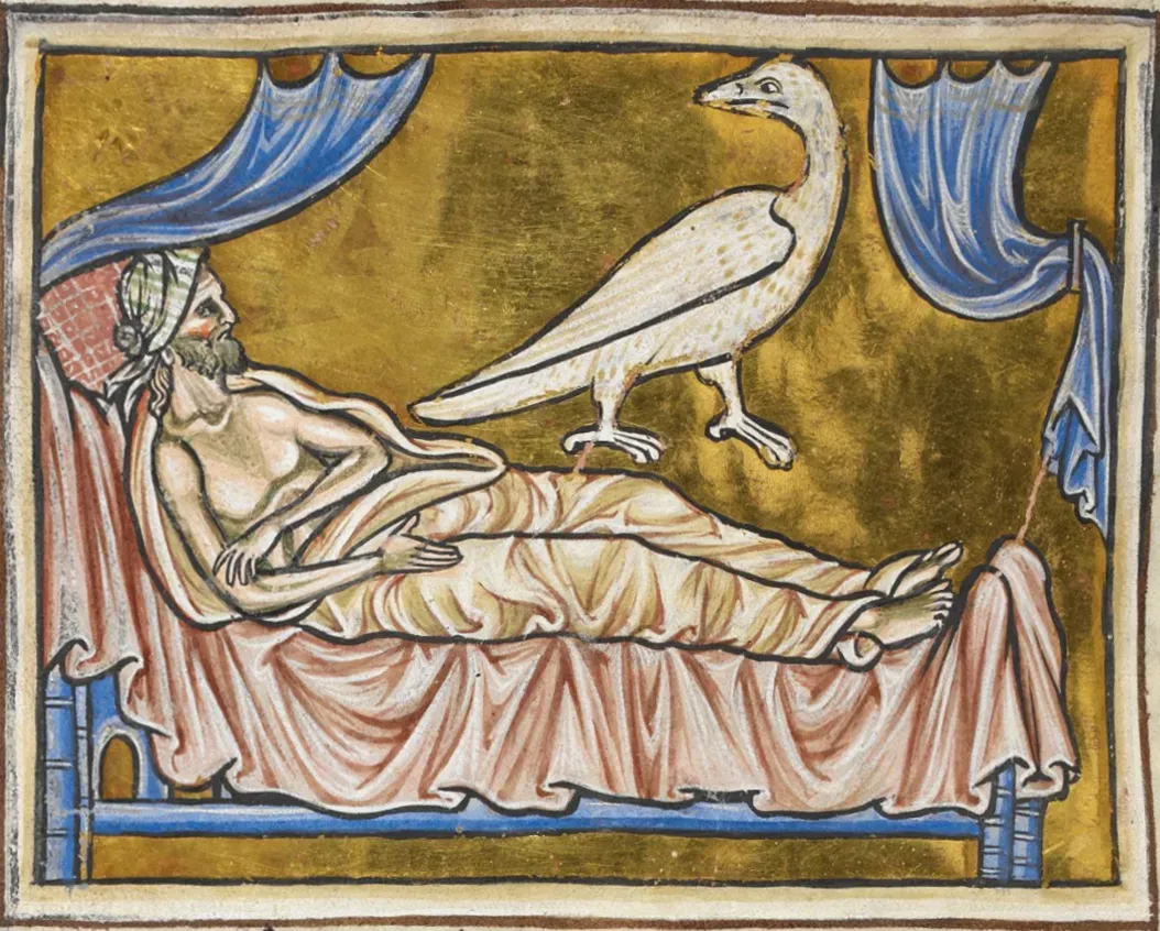 Cancer – The Caladrius (Image Credits: Wikimedia)